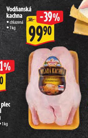 VODANSK KACHNA