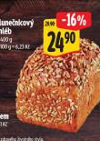 SLUNENICOV CHLB