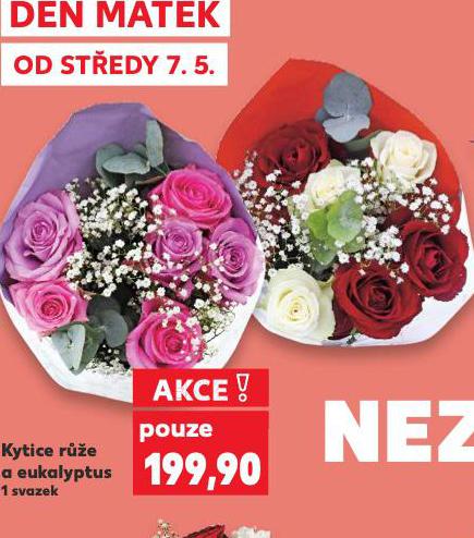 KYTICE RَE A EUKALYPTUS