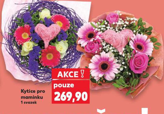 KYTICE PRO MAMINKU