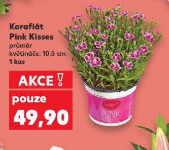 KARAFIT PINK KISSES
