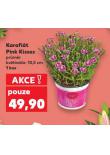 KARAFIÁT PINK KISSES