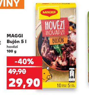 MAGGI BUJN 5L