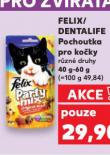 FELIX / DENTALIFE POCHOUTKA PRO KOČKY