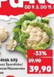 KVĚTÁK BÍLÝ