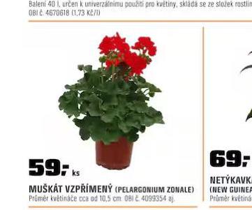 MUKT VZPMEN