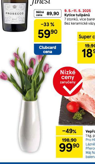 KYTICE TULIPN