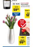 KYTICE TULIPN