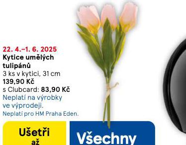 KYTICE UMLCH TULIPN