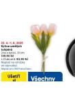 KYTICE UMLCH TULIPN