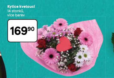 KYTICE KVETOUC