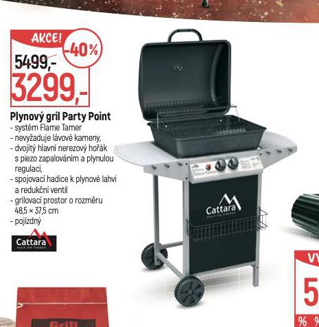 PLYNOV GRIL PARTY PIONT