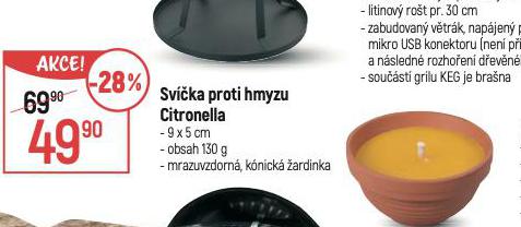 SVKA PROTI HMYZU CITRONELLA