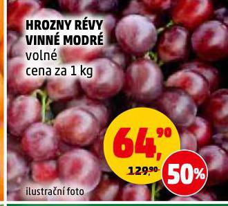 HROZNY RVY VINN MODR