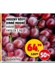 HROZNY RVY VINN MODR