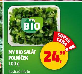 MY BIO SALT POLNEK
