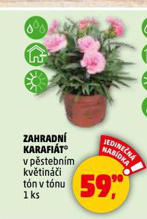 ZAHRADN KARAFIT