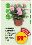ZAHRADN KARAFIT
