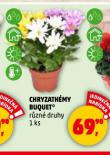 CHRYZANTHMY BUQUET