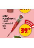 RَE PLATN