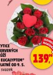 KYTICE ERVENCH Rَ S EUCALYPTEM