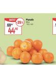 PHYSALIS