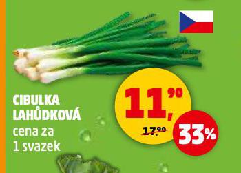 CIBULE LAHDKOV