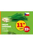 CIBULE LAHDKOV