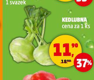 KEDLUBNA