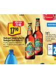 PIVO RADEGAST TEMN HOK 12