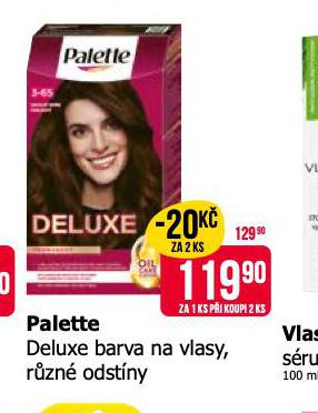 PALETTE DELUXE BARVA NA VLASY