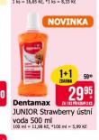 DENTAMAX JUNIOR STRAWBERRY STN VODA
