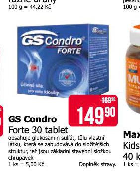 GS CONDRO FORTE
