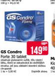 GS CONDRO FORTE