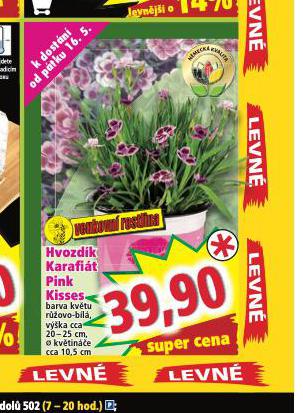HVOZDK KARAFIT PINK KISSES
