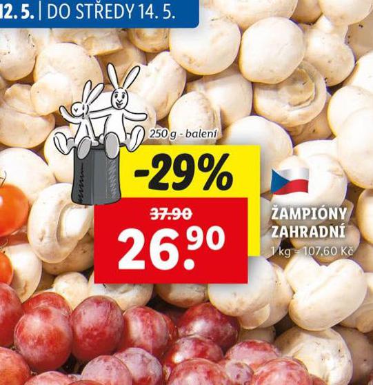 AMPIONY ZAHRADN