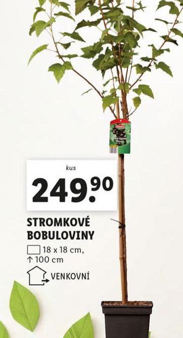 STROMKOV BOBULOVINY