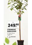 STROMKOV BOBULOVINY
