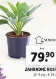 ZAHRADN HOSTA