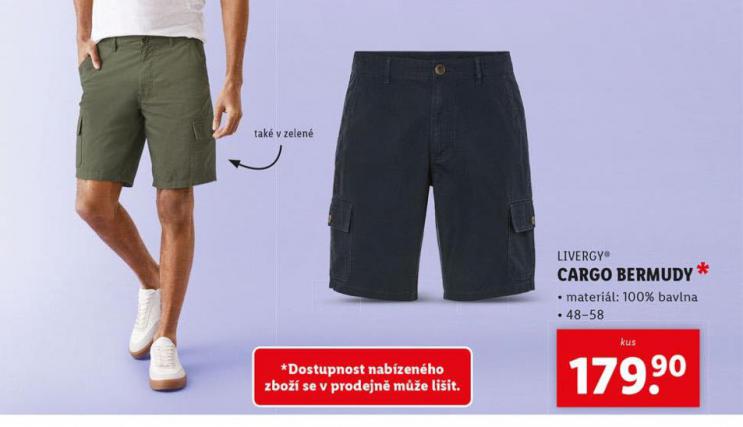 CARGO BERMUDY