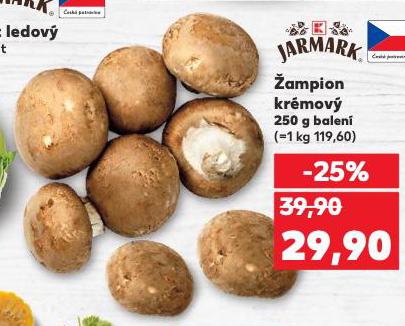 AMPION KRMOV