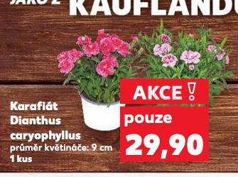 KARAFIT