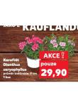 KARAFIÁT