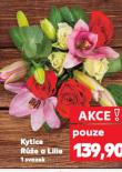 KYTICE RŮŽE A LILIE