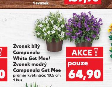 ZVONEK BL
