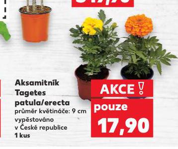 AKSAMITNK
