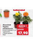 AKSAMITNÍK