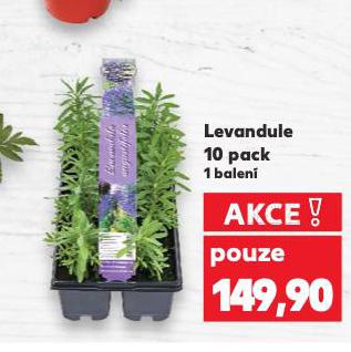 LEVANDULE