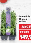 LEVANDULE