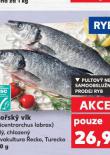 MOŘSKÝ VLK